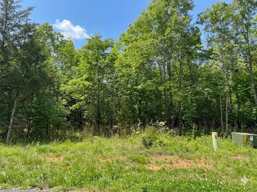 10 Vista Ridge Trail, Watson, OK 74957 - #2