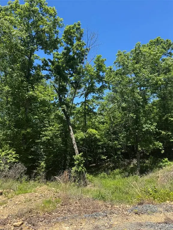 20 Vista Ridge Trail, Broken Bow, OK 74728 - #1