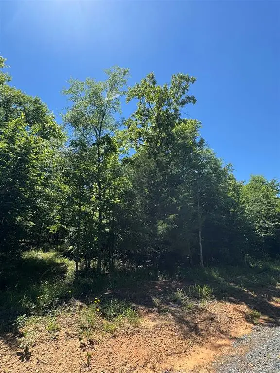 21 Vista Ridge Trail, Watson, OK 74957 - #1