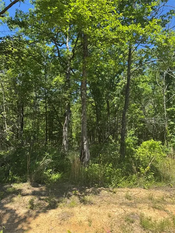 21 Vista Ridge Trail, Watson, OK 74957 - #2