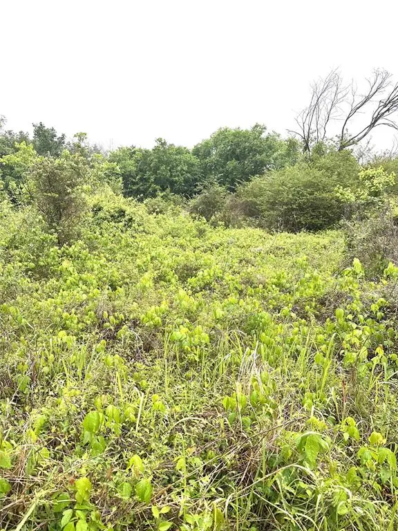 W Mingo Avenue, Wetumka, OK 74848 - #2