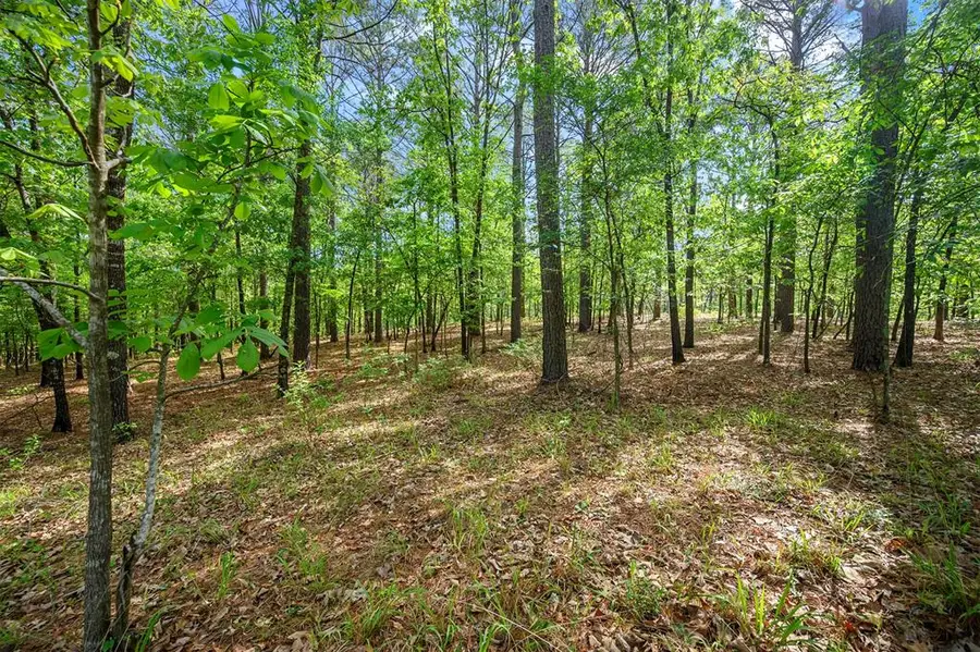 640 NE Three Creeks Road #lot 40, Broken Bow, OK 74728 - #3
