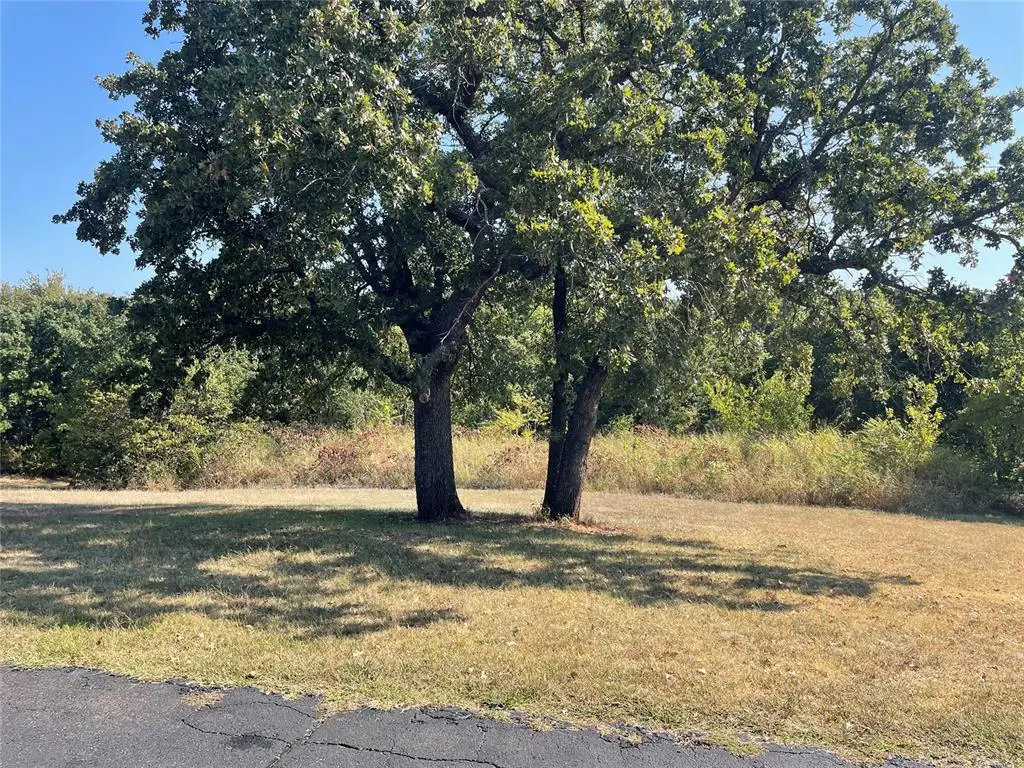 12800 Blue Quail Drive, Jones, OK 73049 - #1