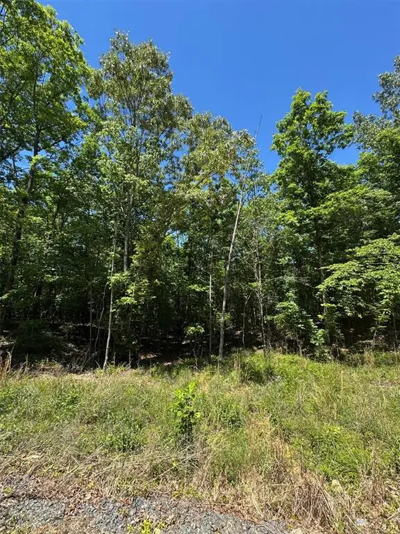 30 Starry Night Court, Watson, OK 74957 - #2