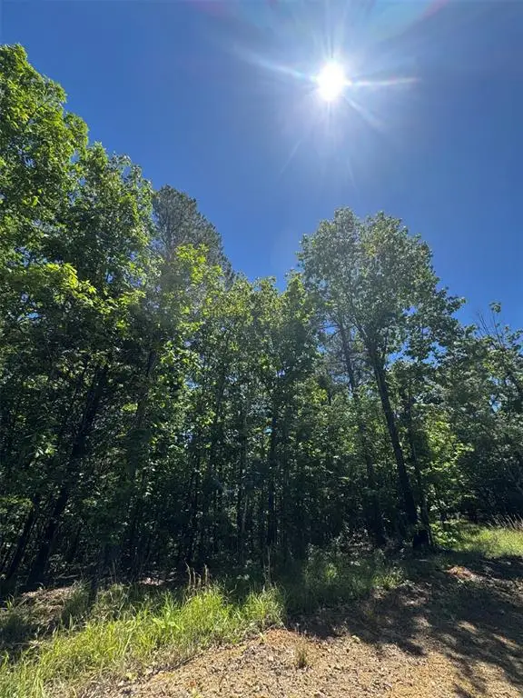 36 Starry Night Court, Watson, OK 74957 - #3