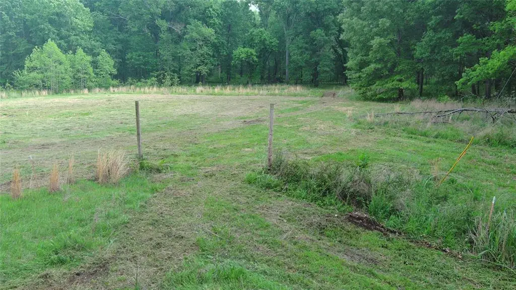 Savage Road, Daisy, OK 74540 - #1