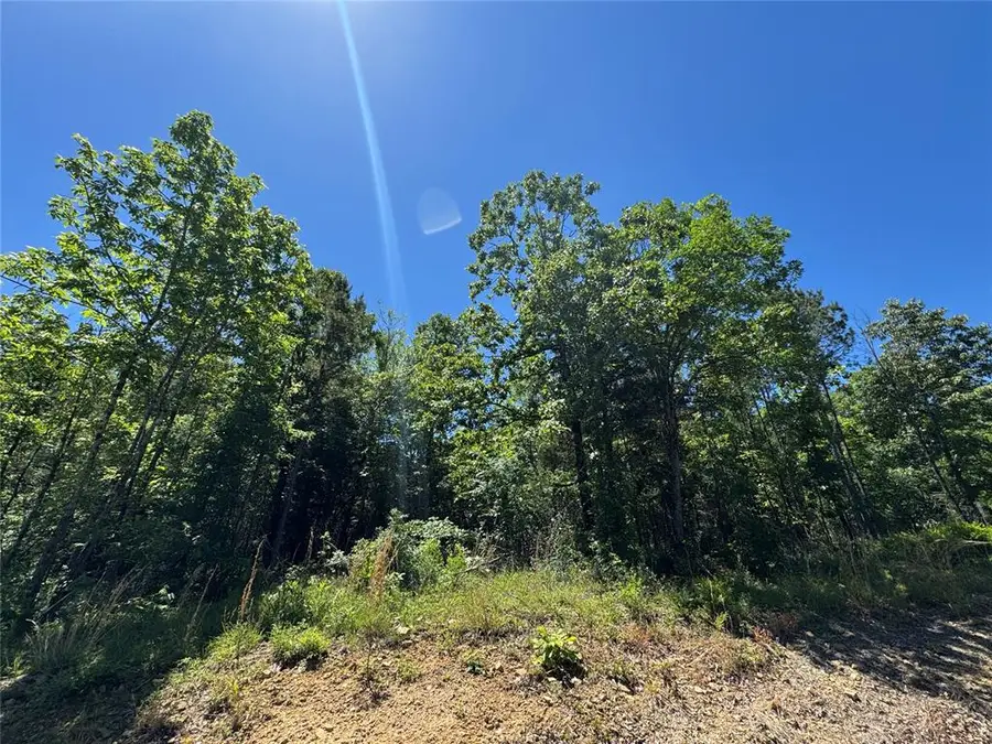 45 Hillside Way, Watson, OK 74957 - #3