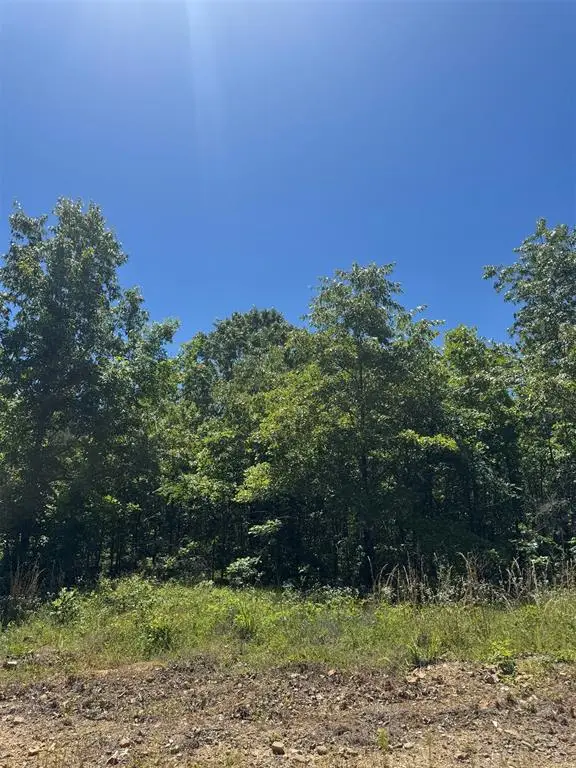 47 Hillside Way, Watson, OK 74957 - #2