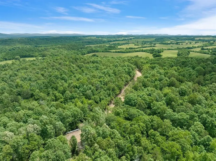 47 Hillside Way, Watson, OK 74957 - #3