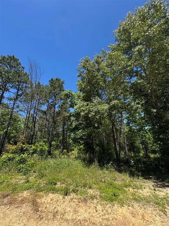49 Hillside Way, Watson, OK 74957 - #2