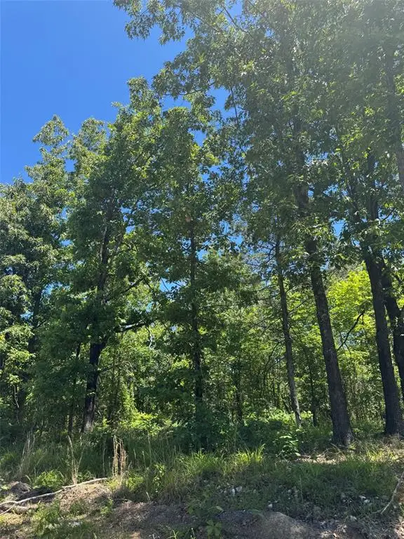 50 Vista Ridge Trail, Watson, OK 74957 - #1