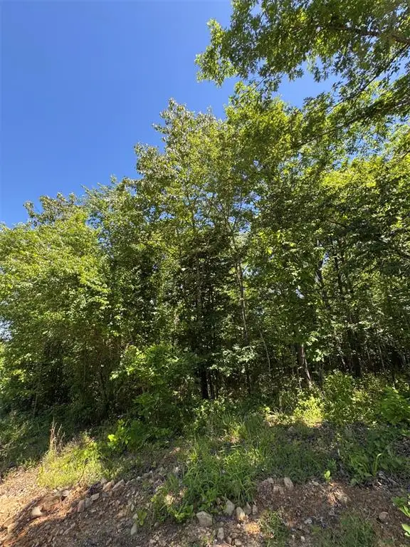 53 Vista Ridge Trail, Watson, OK 74957 - #2