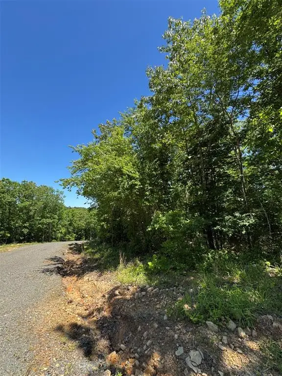 53 Vista Ridge Trail, Watson, OK 74957 - #3