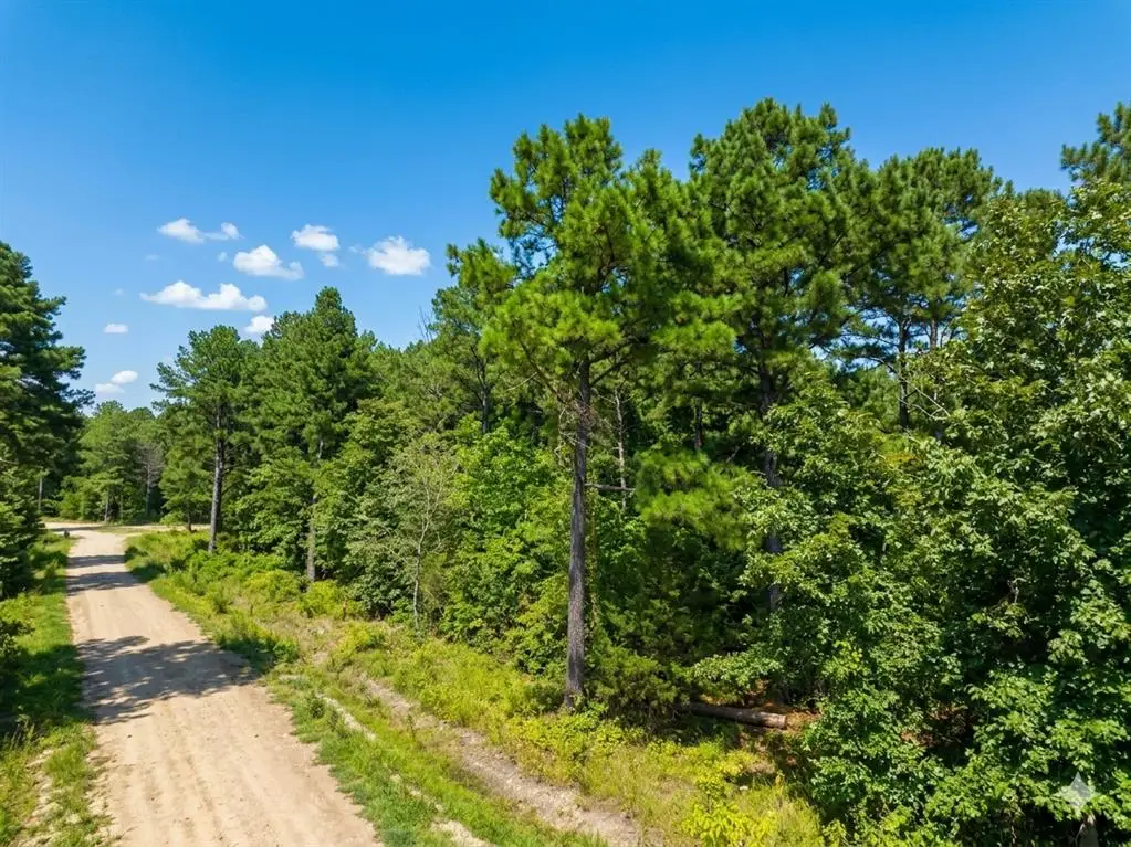 176 Xpress Lane, Hochatown, OK 74728 - #1