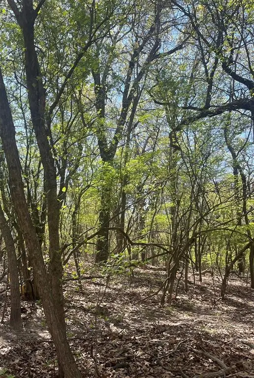 .55 Acres, Peaceful Acres Ii, Eufaula, OK 74432 - #2
