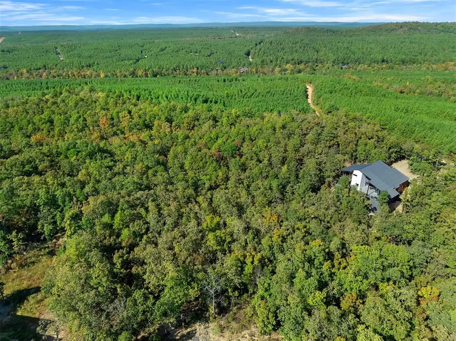 153 Conifer Crest Trail, Broken Bow, OK 74728 - #3