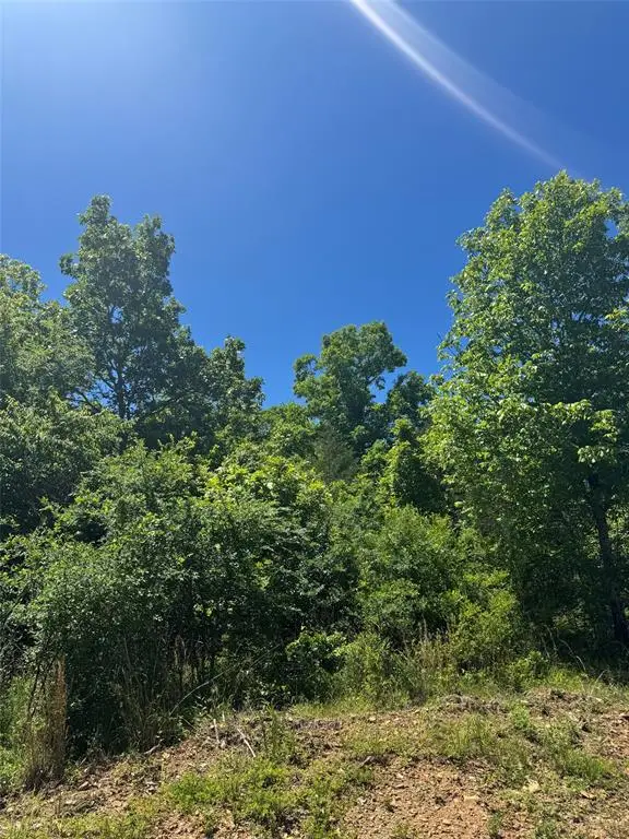 57 Vista Ridge Trail, Watson, OK 74957 - #2