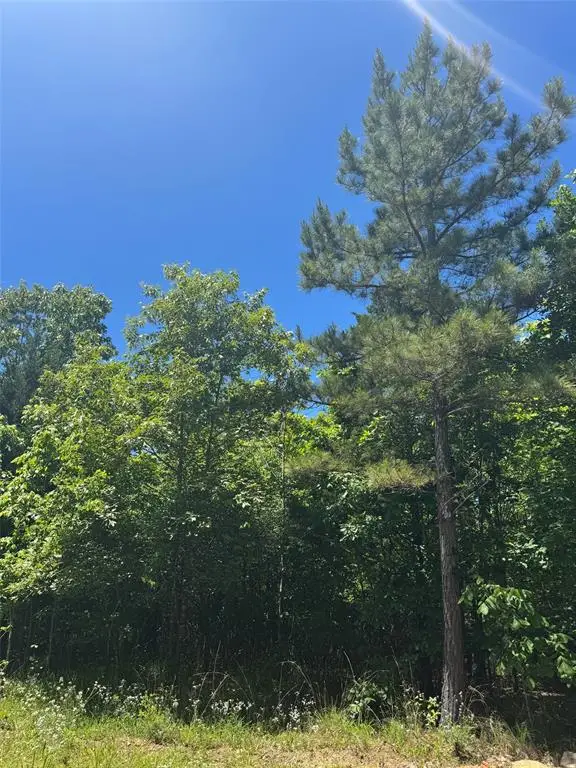 59 Vista Ridge Trail, Watson, OK 74957 - #1