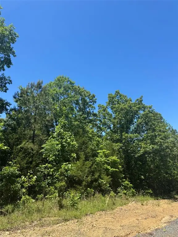 60 Vista Ridge Trail, Watson, OK 74957 - #1