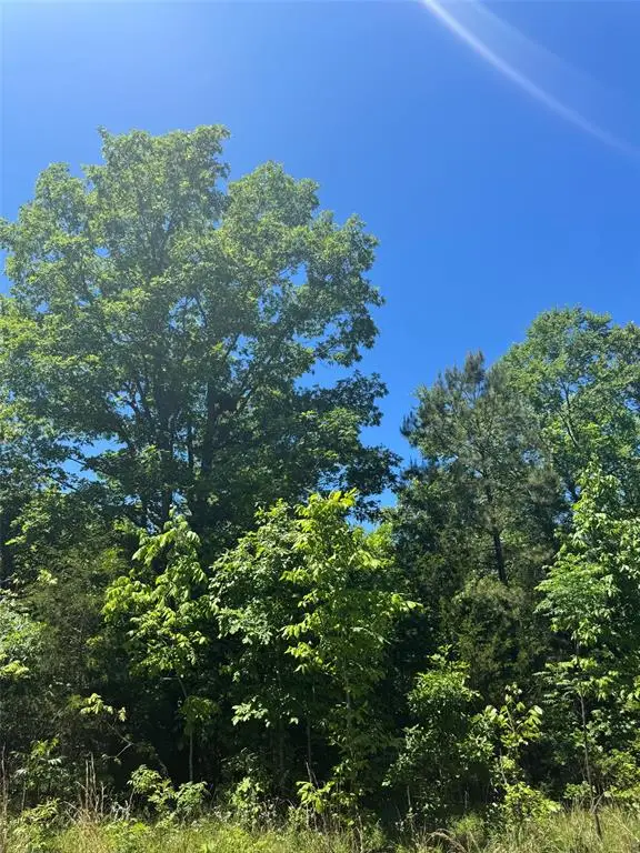 60 Vista Ridge Trail, Watson, OK 74957 - #2