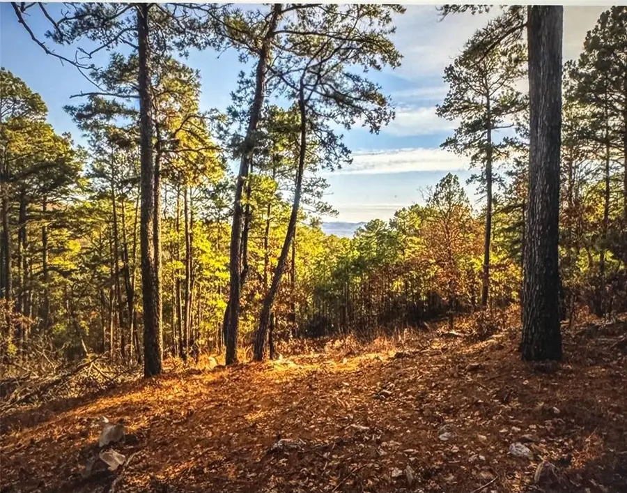 177499 Box Springs Mountain Road, Moyers, OK 74557 - #2