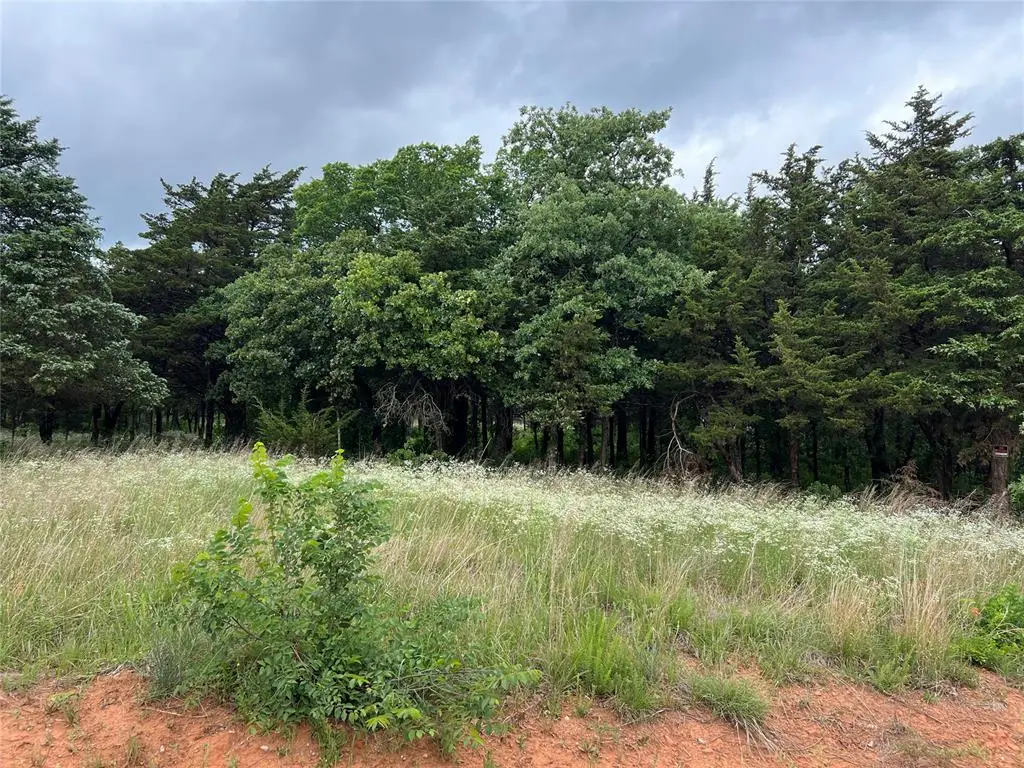 9740 Cedar View Lane, Guthrie, OK 73044 - #1