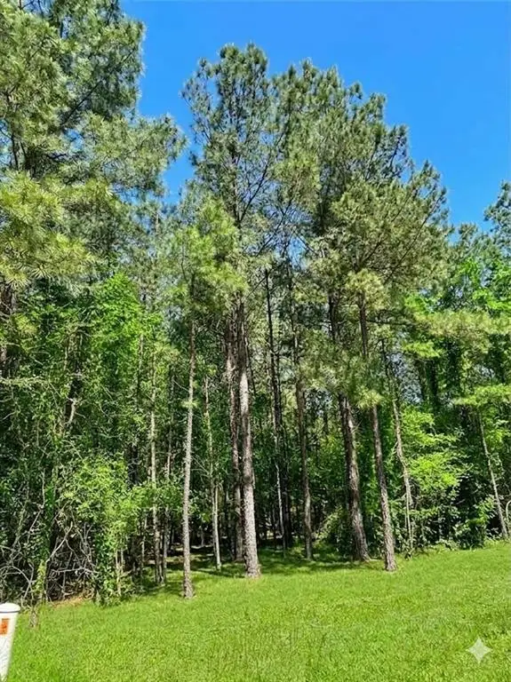 399 Camp Ranch Road, Broken Bow, OK 74728 - #2
