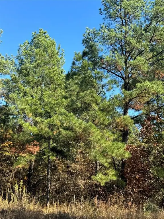 205 Bear Cedar Trail, Broken Bow, OK 74728 - #2