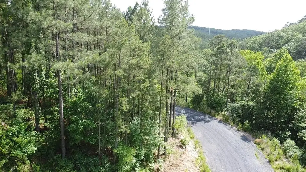 635 Virginia Pine Place, Broken Bow, OK 74728 - #1