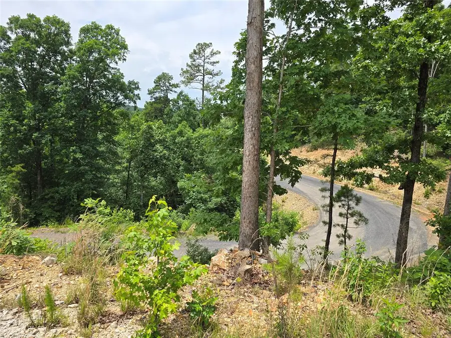 343 Virginia Pine Place, Broken Bow, OK 74728 - #3