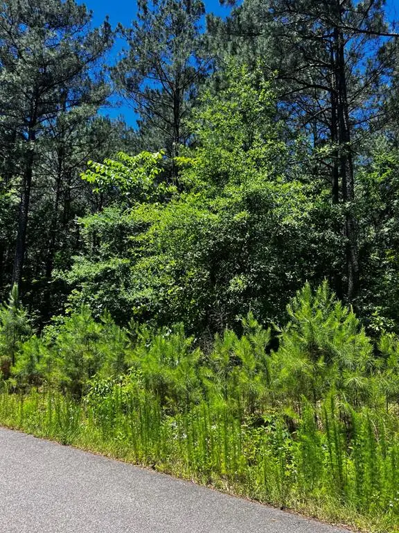 83 Pleasant Cypress Trail, Broken Bow, OK 74728 - #3