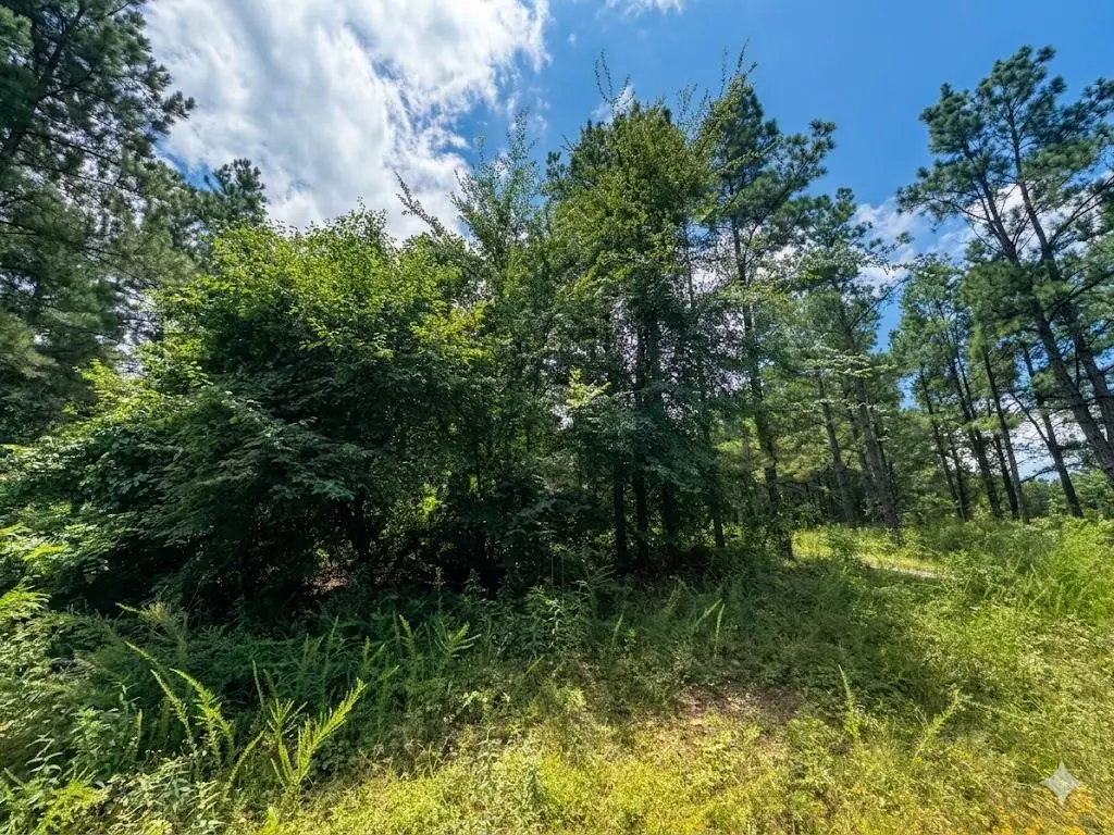 18 Boulder Path, Hochatown, OK 74728 - #1