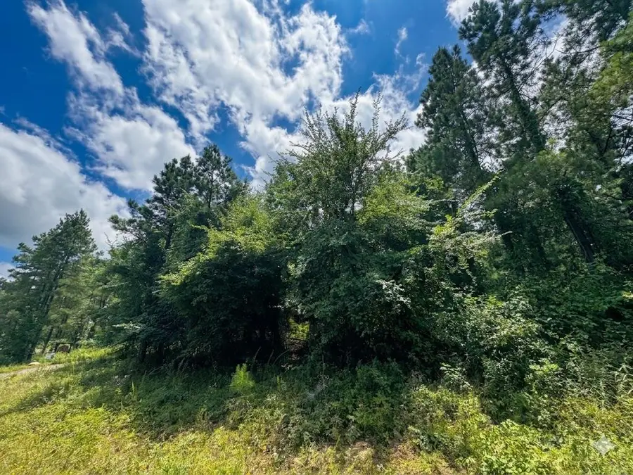 18 Boulder Path, Hochatown, OK 74728 - #3