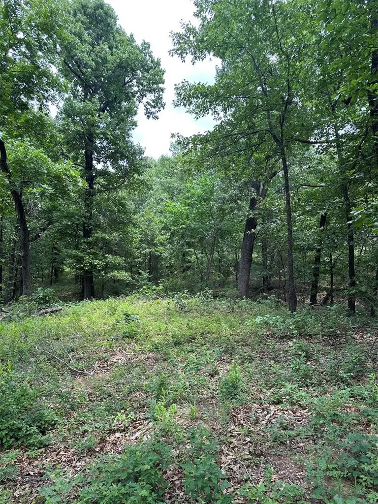 14311 Indian Ridge, Newalla, OK 74857 - #2