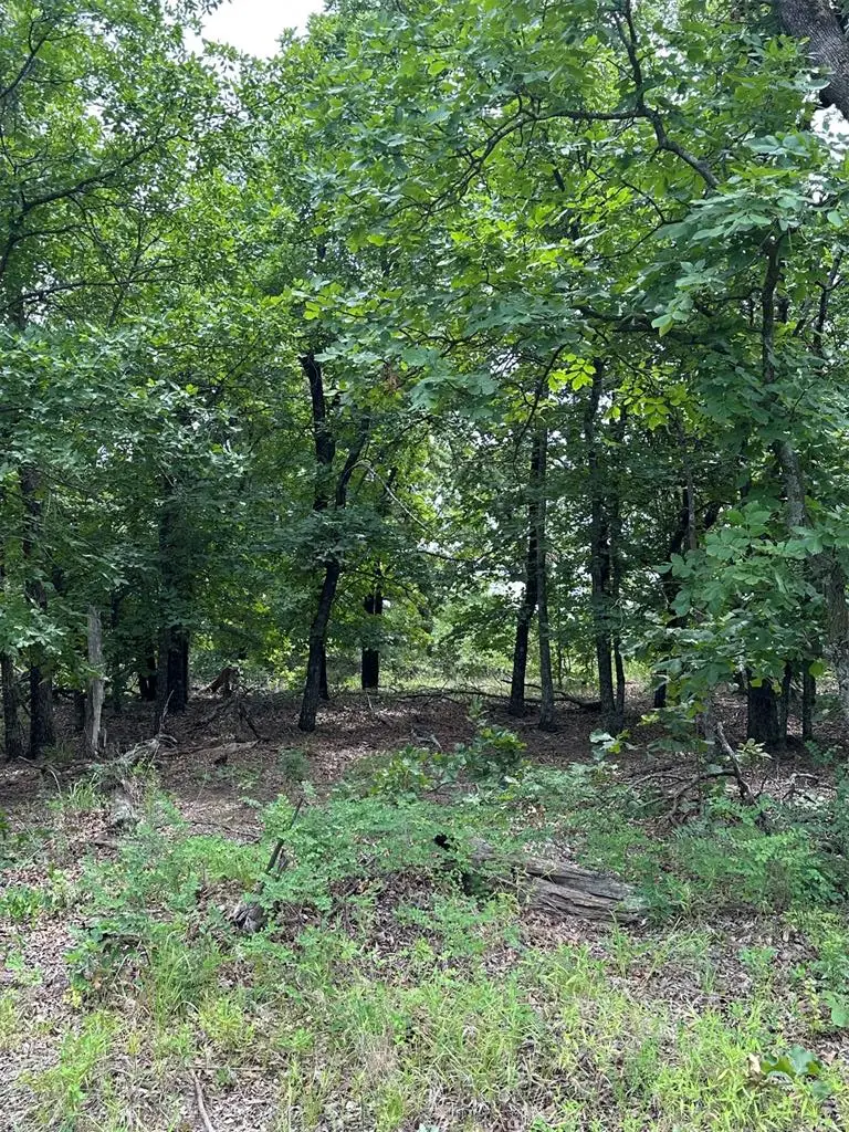 14314 Indian Ridge, Newalla, OK 74857 - #3