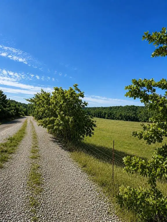 Address Withheld By Seller, Gracemont, OK 73042 - #2