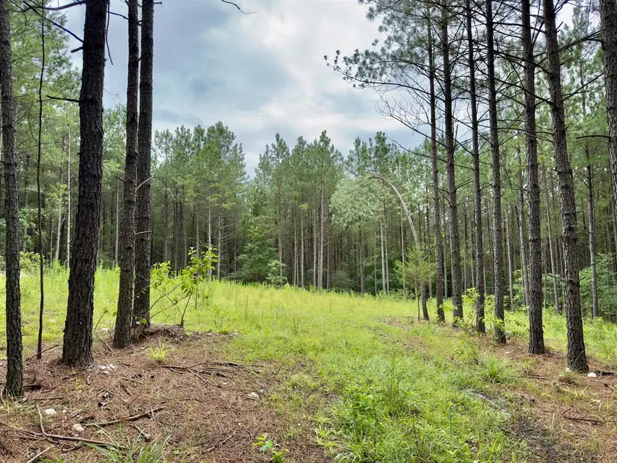 40 Hochacedar Trail, Broken Bow, OK 74728 - #2