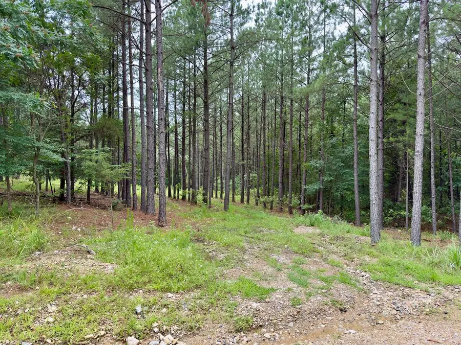 40 Hochacedar Trail, Broken Bow, OK 74728 - #3