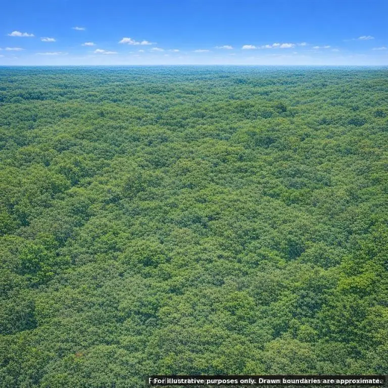 123 No Address Road, Red Oak, OK 74563 - #1
