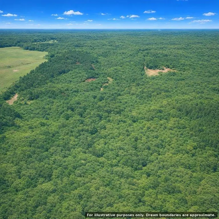123 No Address Road, Red Oak, OK 74563 - #3