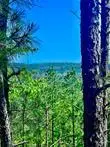 48 N Wild Cherry Street, Broken Bow, OK 74728 - #1