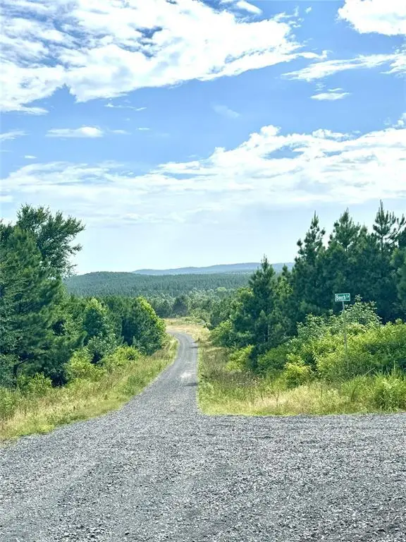 75 Sliding Hill Trail, Broken Bow, OK 74728 - #2