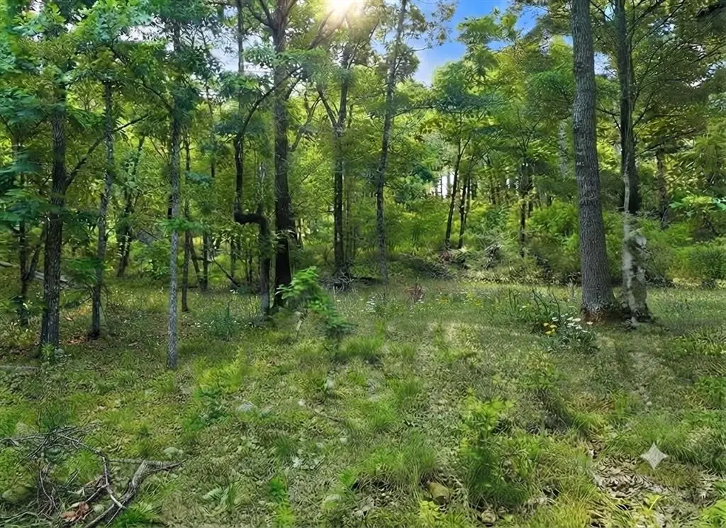 143 Western Cedar Trail, Broken Bow, OK 74728 - #1