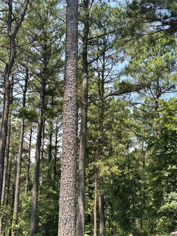 202 Crooked Cedar Trail, Broken Bow, OK 74728 - #1