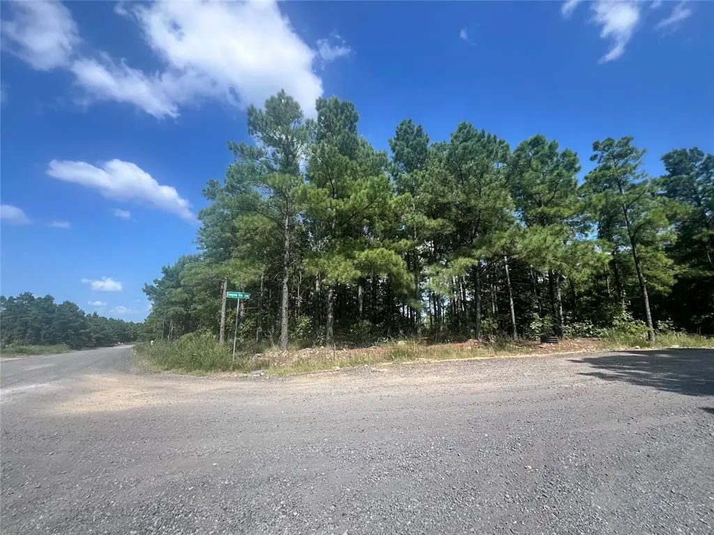 24 Evergreen Vista Loop, Broken Bow, OK 74728 - #1