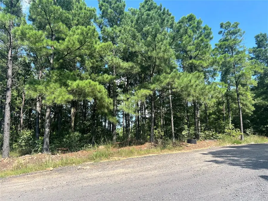 24 Evergreen Vista Loop, Broken Bow, OK 74728 - #2