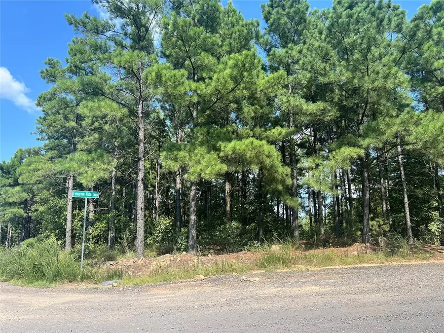 24 Evergreen Vista Loop, Broken Bow, OK 74728 - #3