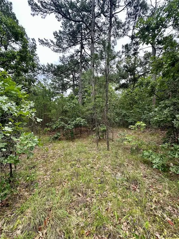 Address Withheld By Seller, Wilburton, OK 74578