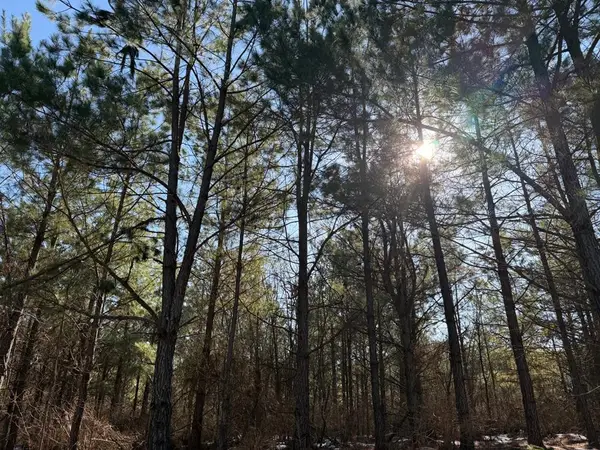 186 Twisted Elm Trail, Broken Bow, OK 74728