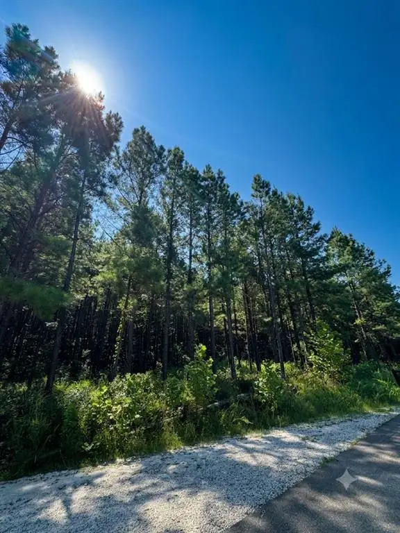 41 Creek Side Trail, Broken Bow, OK 74728 - #1